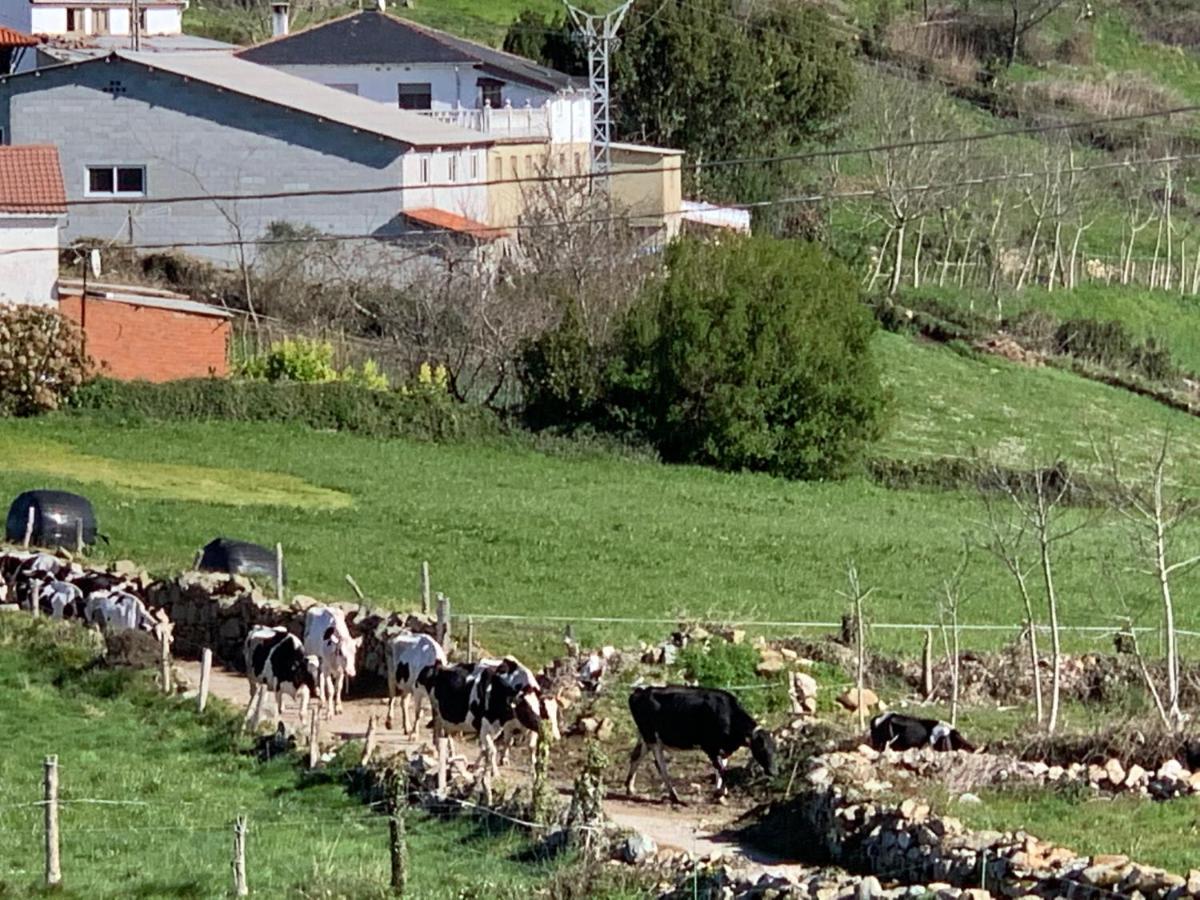 הוילה Biescas  C'Genoveva Complejo Turistico Rural Caleacabo מראה חיצוני תמונה
